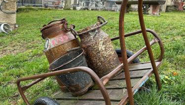 Ferienwohnung Hansnhof - Foto 3, Garden