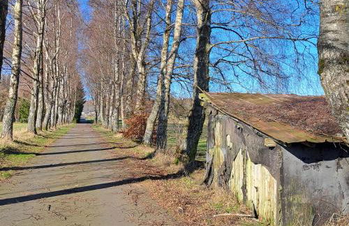 Alte Schule Steinen - Foto 19