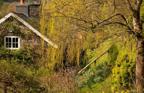 Dolgenau Cottages - Foto 28