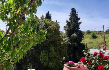 Green View Apartment - Foto 20