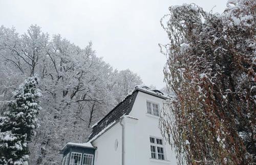 Dom pod Agatową Skałą we Wleniu - Foto 3