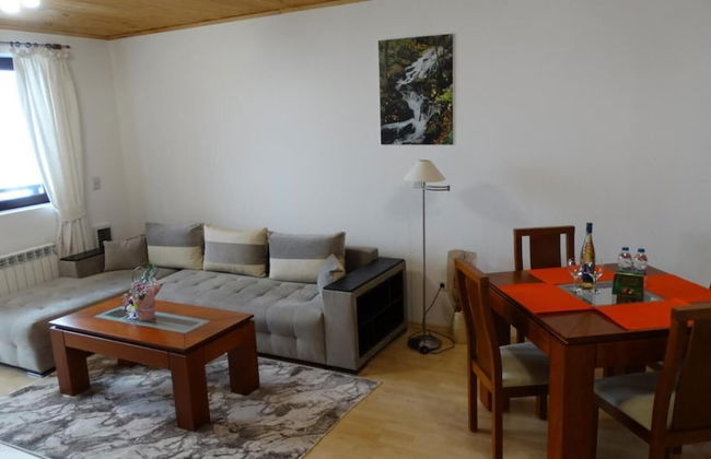 Pamporovo Rhodopi Pearl Apartments - Photo 5