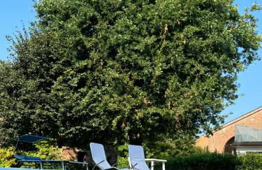 Agriturismo Ca' Guerriera - Photo 36