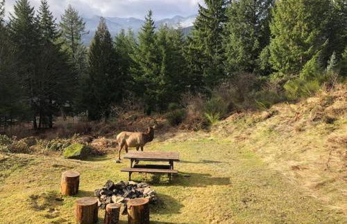 Mountain View Cabin, Hot Tub at White Pass Resort, Mt Rainier - Foto 13