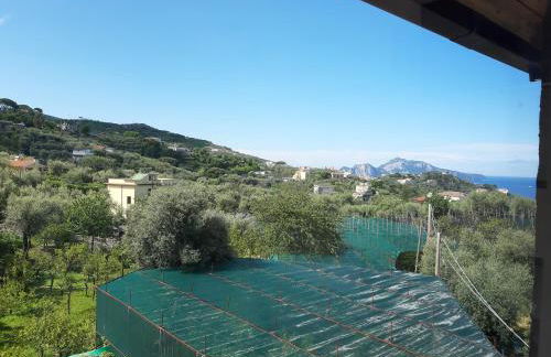 La Lobra Dépendance - Foto 29