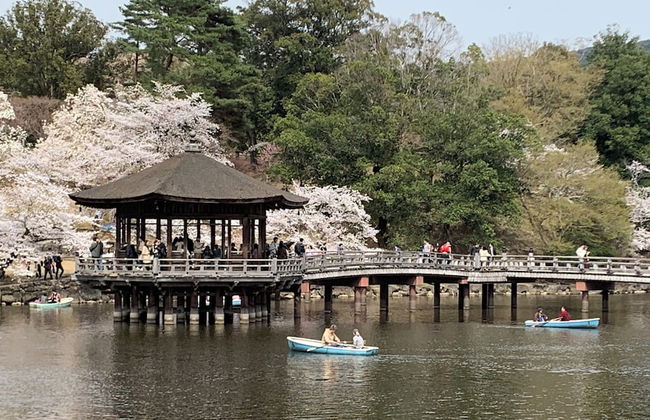 Traditional Guesthouse TONARI - Foto 29