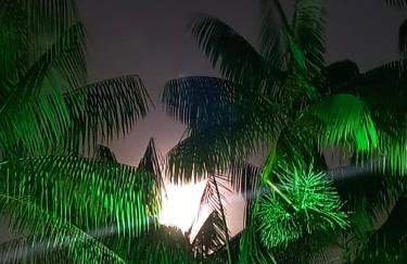 Chácara Celebrare - Photo 10