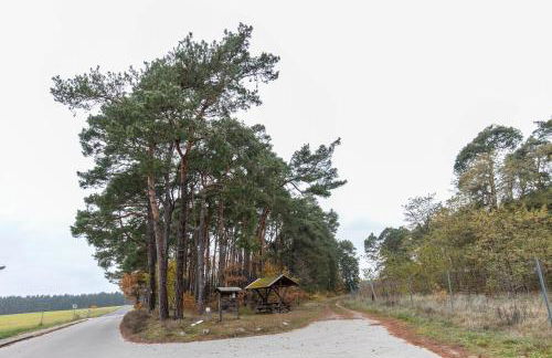 Insel Der Erholung Wohlfühlbungalow - Photo 23