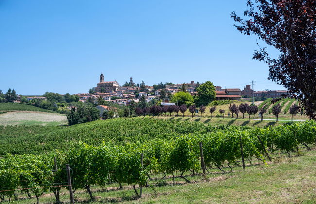 La Tartufa - Foto 33