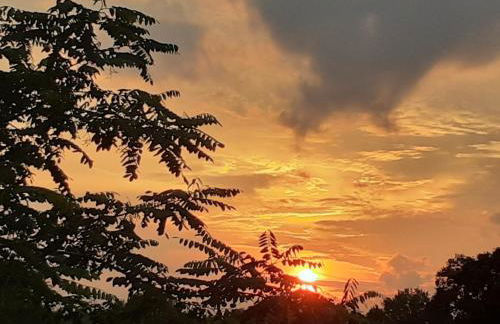 Ferienwohnung ehemalige Revierförsterei "uns Lütt" - Photo 18