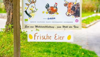 Ferienwohnung Kapellenhof - Foto 4