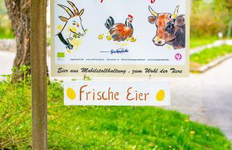 Ferienwohnung Kapellenhof - Foto 4