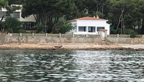 Sargantana Blava - Foto 2