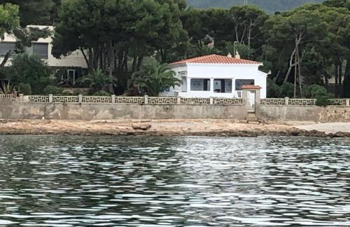 Sargantana Blava - Foto 2