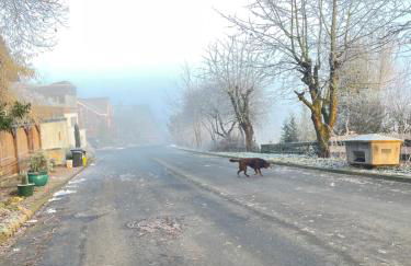 Innas Ambiente - Foto 15