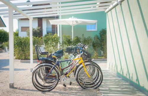 Fiori di Cardo - Agrimare - Foto 47