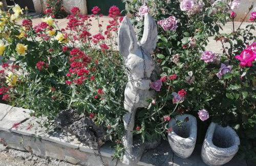 Apartment Nada - Foto 19