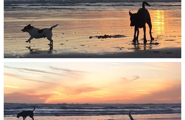 Melkbos Seagulls Lapa - Foto 12