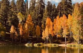 Totem Pole Lodge - Foto 23