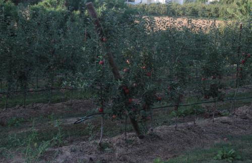 Vivenda Maria da Nazaré - Foto 50