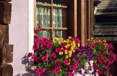 Appartamenti Lea Pontiglia - Foto 14