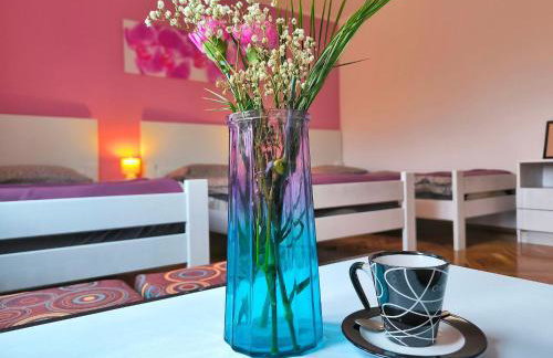 Discover the magic of nature - Foto 1