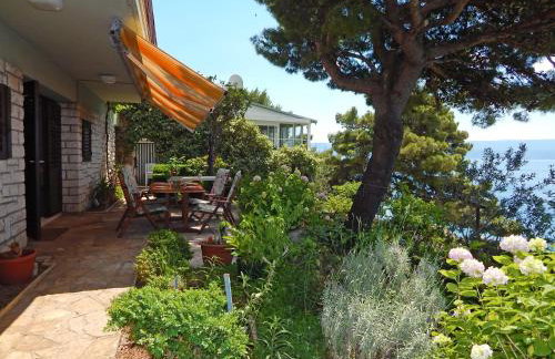 Villa Maristika - Foto 34