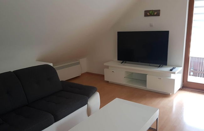 Apartments Lake Bohinj Medja - Foto 49