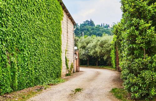 Casa Vittoria-Relax tra Lago di Garda e Verona - Foto 45