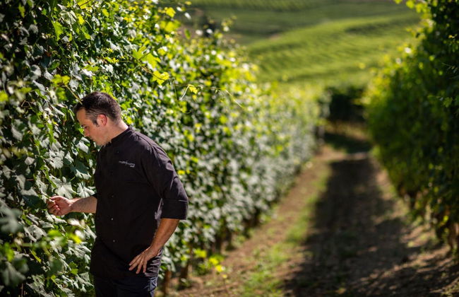 Resort Limax Acis - Photo 28