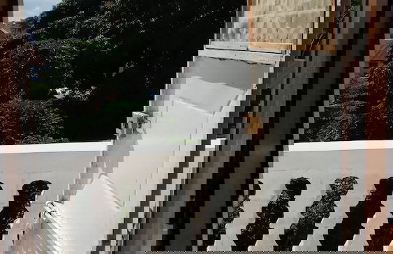 Masala Living - Photo 5