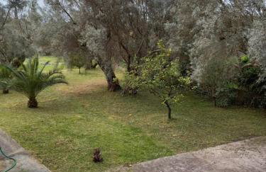 Olive Garden - Foto 26