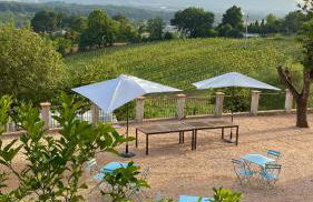 Donna Vittori - Borgo Agricolo - Foto 9