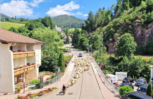 Blue Sky Flat, Apartment, 73qm, bis 6 Personen, Neubau Süd-Balkon mit Lounge-Möbeln, Schwarzwald-PLUS inkl 80 Gratis-Attraktionen täglich - Photo 26