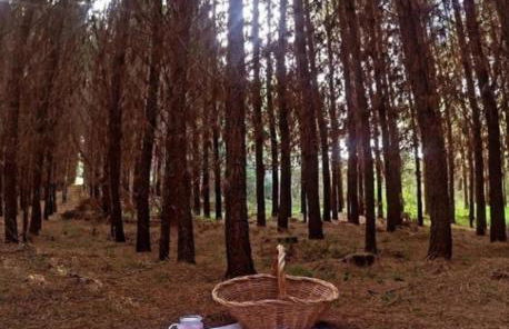 Pousada Sol Da Meia Noite - Foto 31