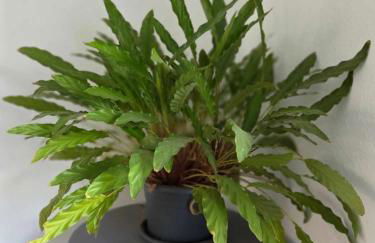 Ferienhaus Berg - Foto 14