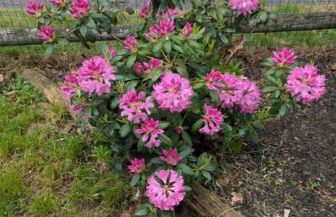 Make Lasting Memories at the Bougie Beach Bungalow - Foto 36