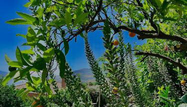 La Kamareta de Chite - Foto 4