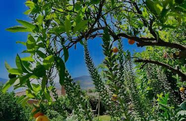 La Kamareta de Chite - Foto 4