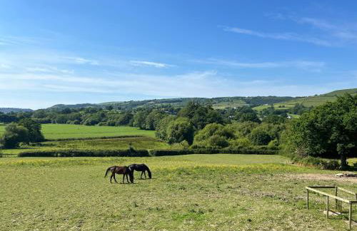 The Bw thyn - Ceredigion - Photo 37
