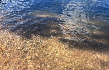 Lake Eagle Rock Lodge - Foto 15