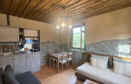 ΠΕΤΡΑΣΤΕΡΟ Canyon Retreat-Agrafa - Photo 51