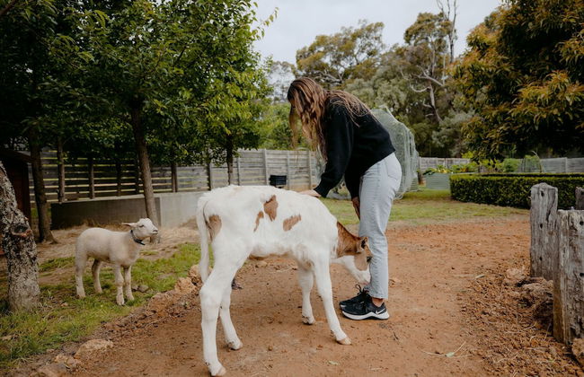 Losari Retreat - Foto 53