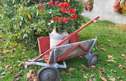 Ferienwohnung Am Wasserturm mit kleinem Bauernhof - Foto 32