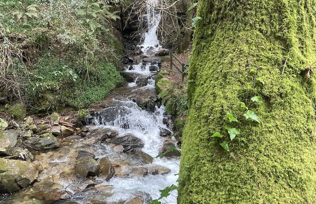 Casa Velha - Santiago Family House - Foto 18