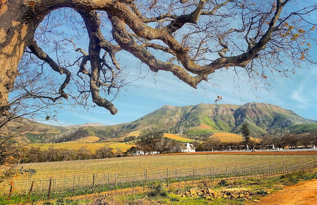 Hout Bay Beach Cottage - Photo 51