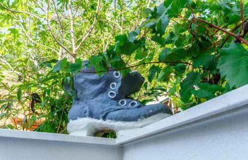 Apartmani Amila-Pisak - Foto 24