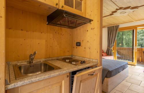 Apartment Residence gli Scoiattoli-4 by Interhome - Foto 9