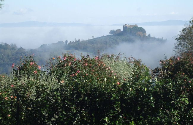 Red House/casa Rossa - Near Civita Di Bagnoregio - Foto 48