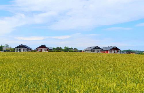 Domki Valhalla Polna 8a Chłopy Sarbinowo - Foto 10